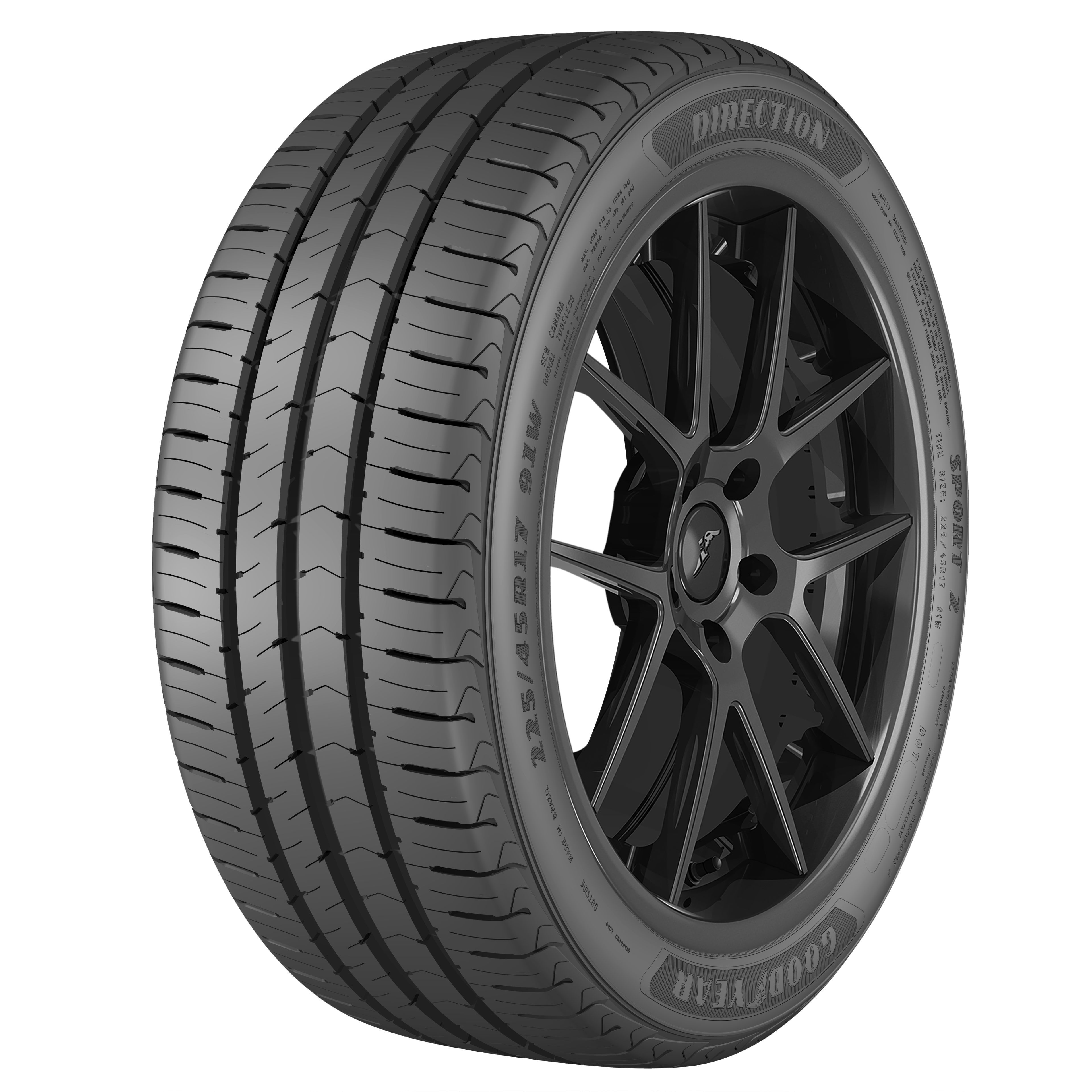 205/55R16 DIRECTION SPORT 2 GOODYEAR